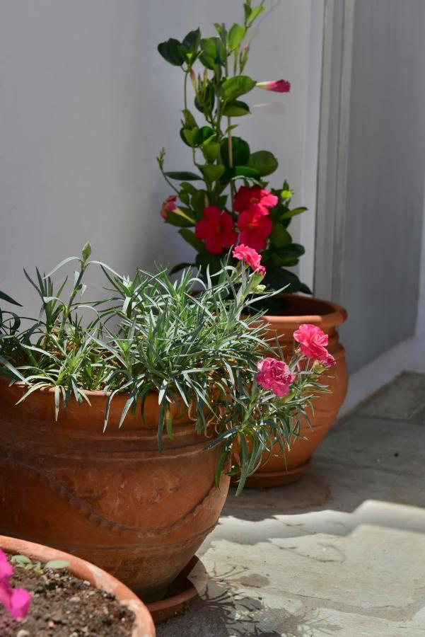 Feel At Home - Family House In Hydra Kültér fotó